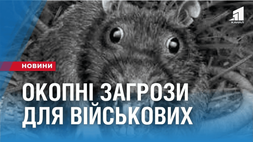 okopni-tvaryny-atakuyut-vijskovyh-z-frontu-dostavlyayut-zahysnykiv-z-ukusamy