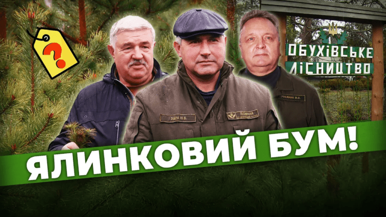 ye-groshi-na-yalynku-stilky-dovedetsya-vytratyty-na-novyj-rik-z-zhyvoyu-yalynkoyu