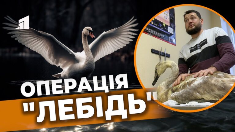 bukvalno-vmerz-v-kryzhynu-i-led-ne-zagynuv-strashnoyu-smertyu-operacziya-lebid-u-dnipri