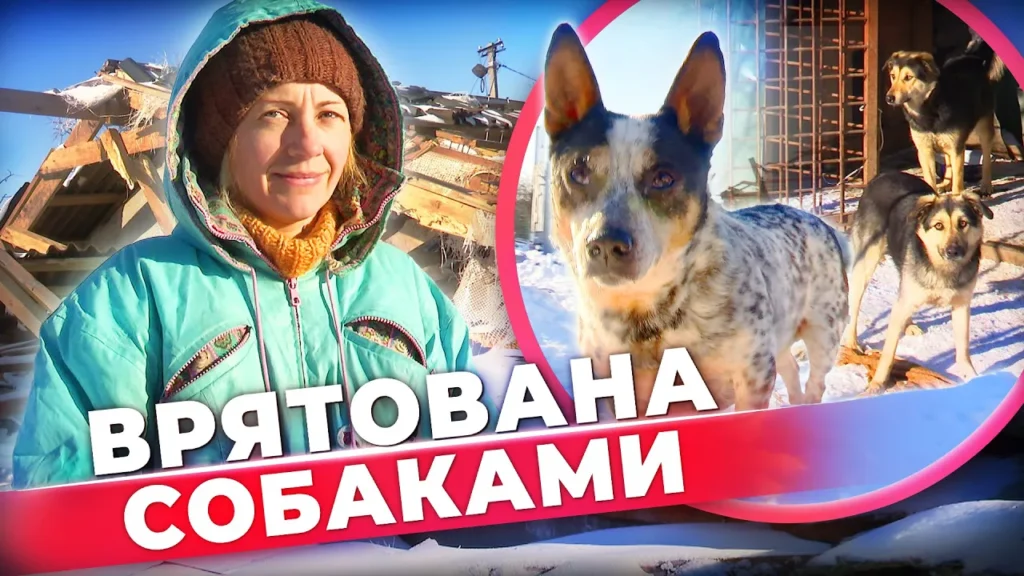 chotyrylapi-ryativnyky-yak-sobaky-vryatuvaly-zoozahysnyczyu-vid-rosijskoyi-rakety