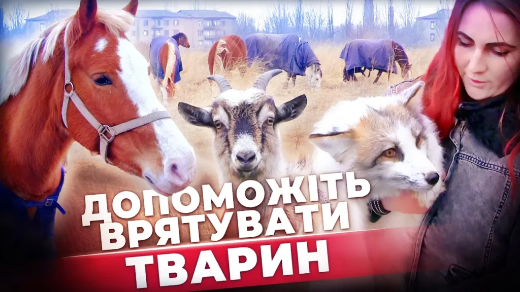 rancho-bila-pidkova-potrebuye-dopomogy