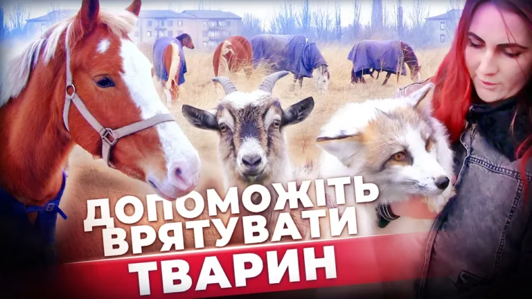 rancho-bila-pidkova-potrebuye-dopomogy