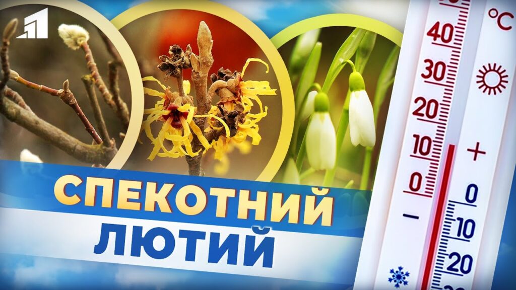 anomalna-zyma-globalne-poteplinnya-chy-pidstupna-pogoda