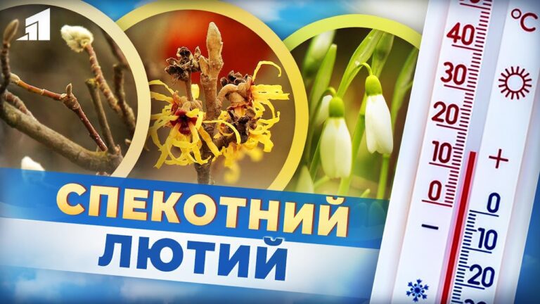 anomalna-zyma-globalne-poteplinnya-chy-pidstupna-pogoda