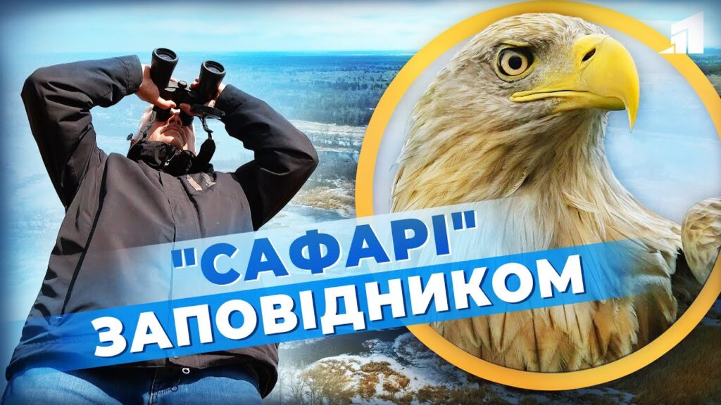 safari-zapovidnykom-yak-vijna-vplynula-na-chervonoknyzhnyh-tvaryn-dnipropetrovshhyny