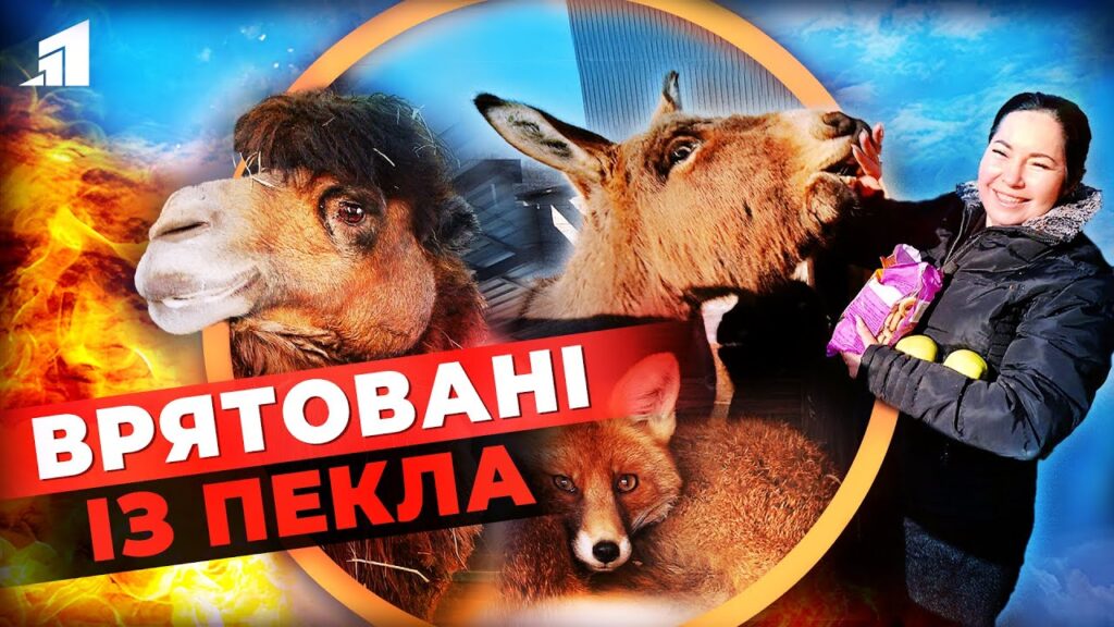vryatovani-z-pekla-nejmovirni-istoriyi-pro-poryatunok-ta-drugyj-shans-na-zhyttya