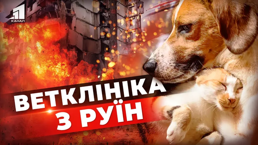 vidbudova-z-ruyin-u-dnipri-vidnovlyuyut-vetkliniku-yaka-bula-znyshhena-rosijskoyu-raketoyu