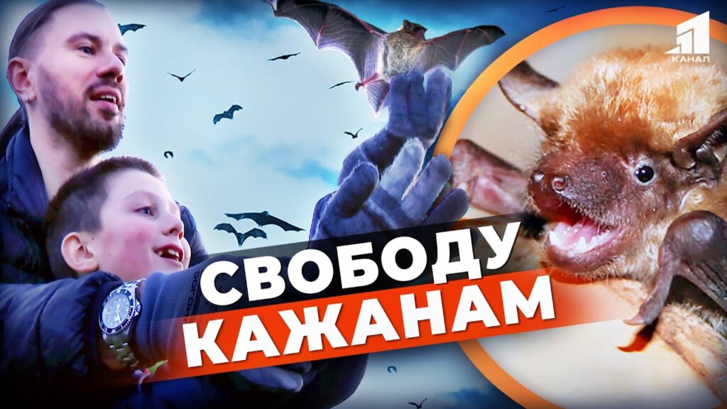 tysyachu-kazhaniv-vypustyly-na-volyu-tvarynky-zymuvaly-v-holodylnykah-i-projshly-reabilitacziyu