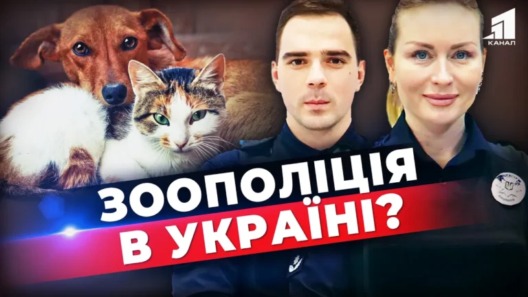 zahyst-dlya-tvaryn-nevzhe-v-ukrayini-z-yavytsya-zoopolicziya