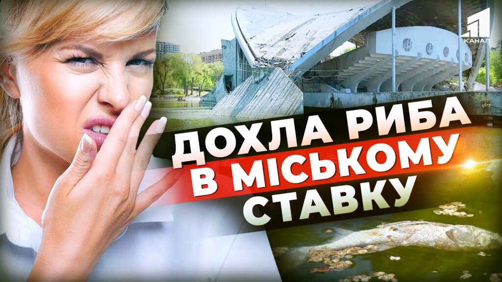cherez-shho-masovo-gyne-ryba-v-stavku-u-czentralnomu-parku-dnipra-hto-vynen-i-shho-z-czym-robyty
