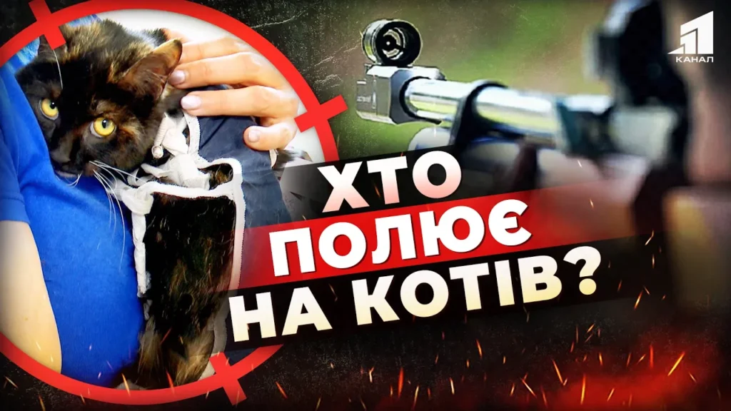rozstrilyuye-kotiv-iz-pnevmatyky-hto-u-kryvomu-rozi-polyuye-na-domashnih-ulyublencziv