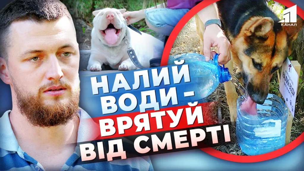 40-u-dnipri-tvaryny-masovo-gynut-vid-speky-dopomogty-vyzhyty-mozhe-zvychajna-voda