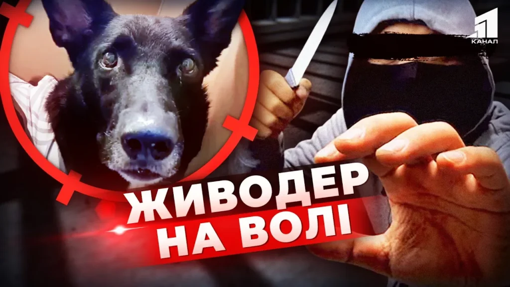 nakynuvsya-na-sobaku-teper-pogrozhuye-lyudyam-zvidky-taka-zhorstokist-ta-chy-pokarayut-zhyvodera