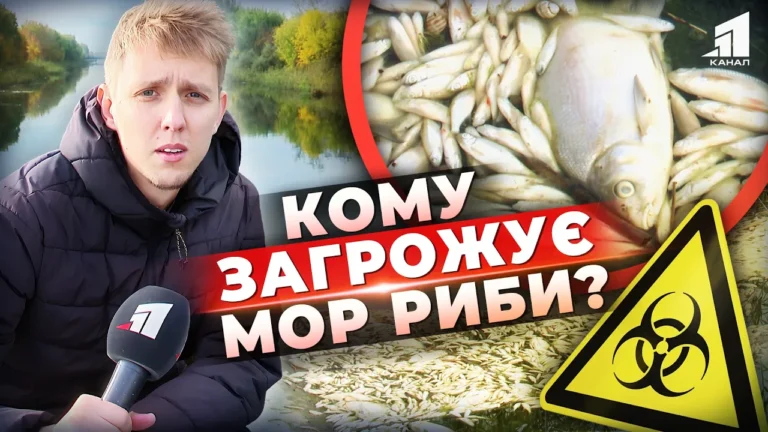mertva-ryba-u-pytnomu-kanali-masovyj-mor-ohopyv-kanal-dnipro-donbas-hto-vynen-i-yaki-naslidky
