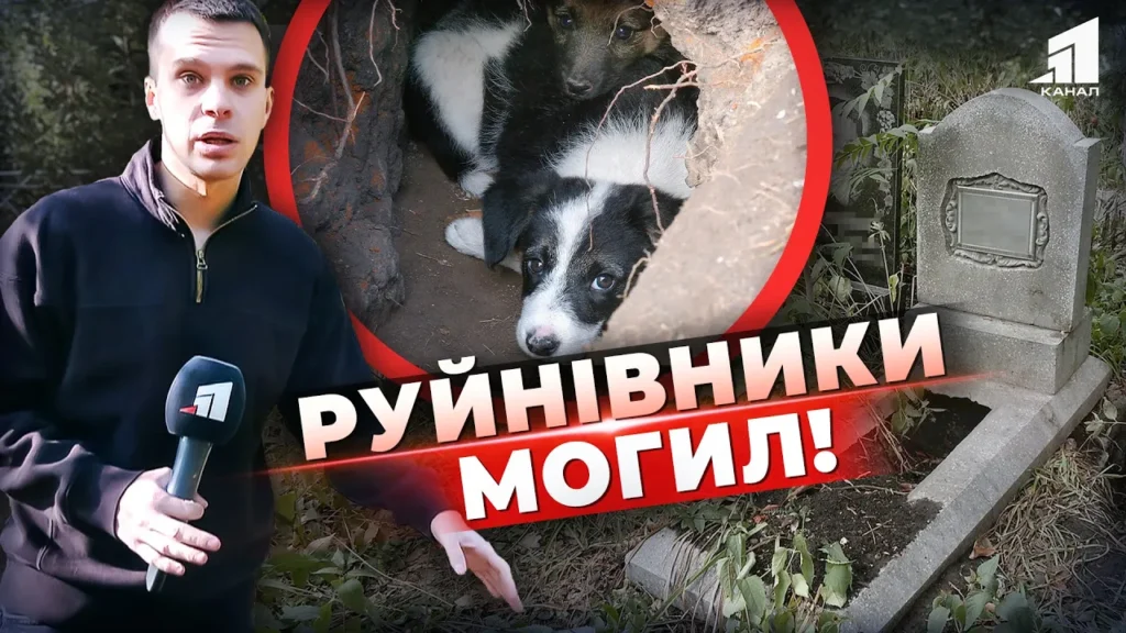ryyut-yamy-ta-zalazyat-pid-nadgrobky-hto-vlashtovuye-bezlad-na-czvyntari-dnipra-nespodivana-vidpovid