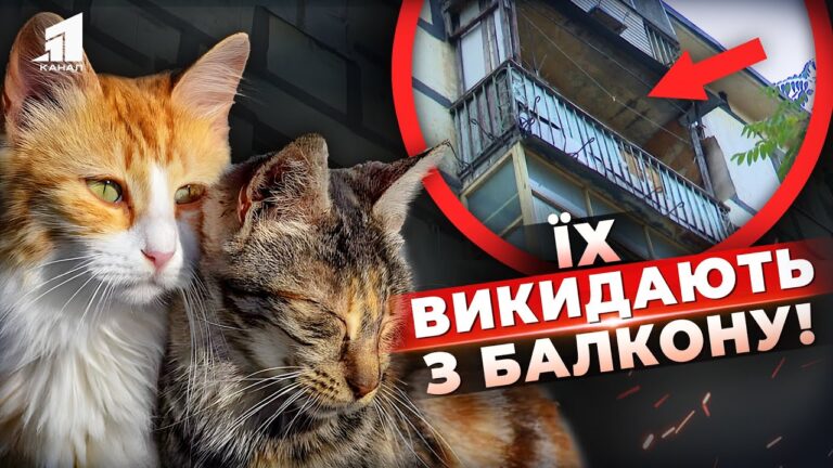 https-wwwyoutubecom-watchvjfquaphxnky
