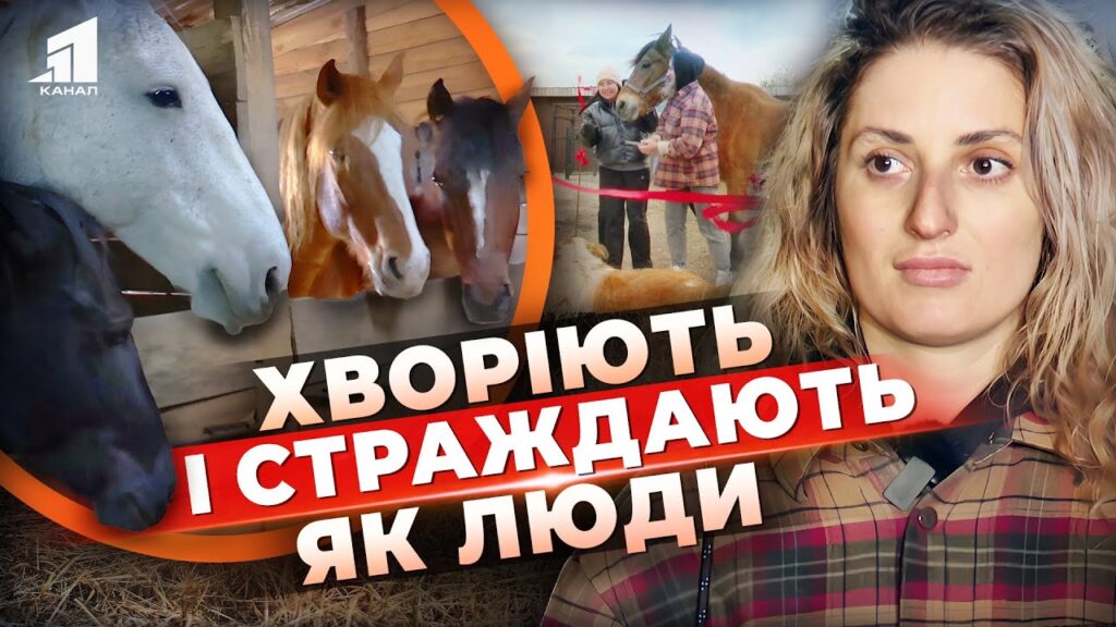 pershyj-v-ukrayini-na-dnipropetrovshhyni-stvoryly-staczionar-dlya-osoblyvyh-konej-v-chomu-osoblyvist
