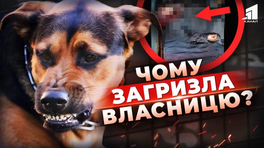 zhah-u-vlasnij-kvartyri-na-zhinku-napala-yiyi-sobaka-motoroshna-tragediya-u-kryvomu-rozi