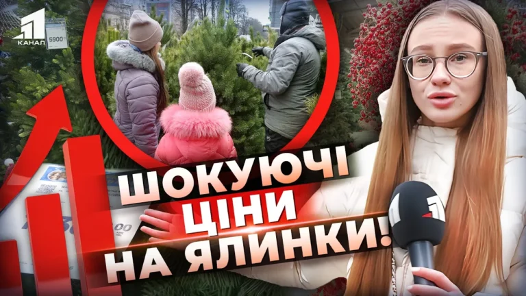 u-skilky-obijdetsya-novorichnyj-nastrij-u-dnipri-rozpochavsya-prodazh-yalynok-porivnyuyemo-cziny