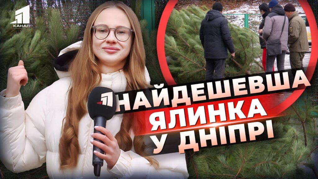 yalynky-za-kopijky-de-u-dnipri-kupyty-yalynku-bez-shkody-ekosystemi-ta-shhe-j-za-minimalnoyu-czinoyu
