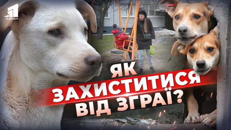 Video thumbnail for youtube video r_u2woq6nai