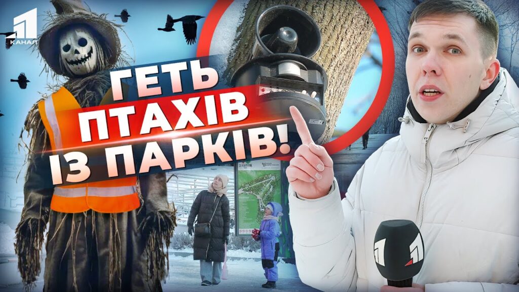 Video thumbnail for youtube video zkz_jvyuedm