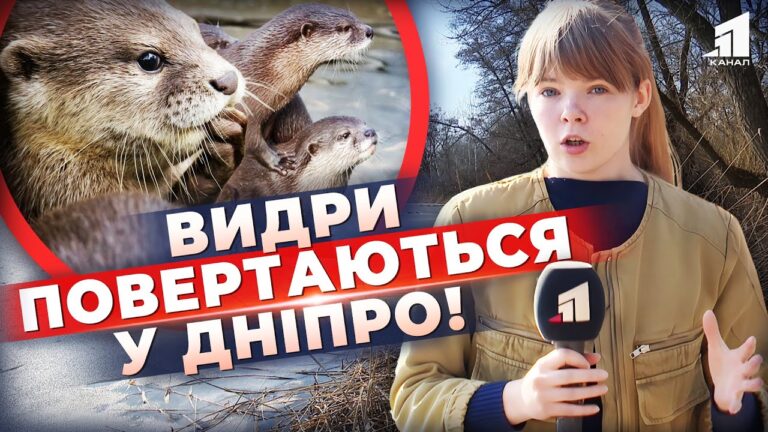 Video thumbnail for youtube video bdewnr3h-x8