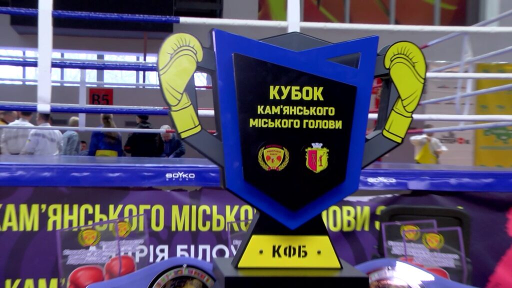 drugyj-kubok-miskogo-golovy-z-boksu-projshov-u-kam-yanskomu