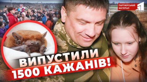 Video thumbnail for youtube video wl6kxi28pi0
