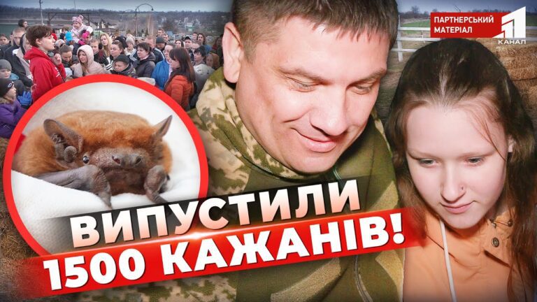 Video thumbnail for youtube video wl6kxi28pi0