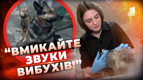 Video thumbnail for youtube video 5duh8lxcpcq