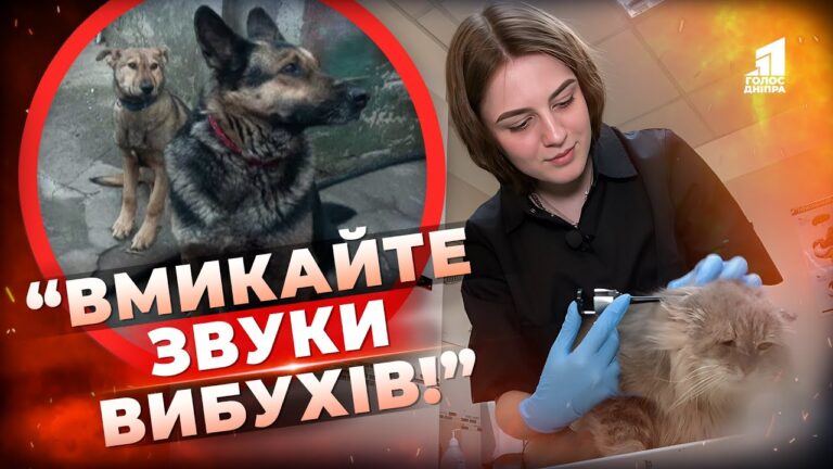 Video thumbnail for youtube video 5duh8lxcpcq