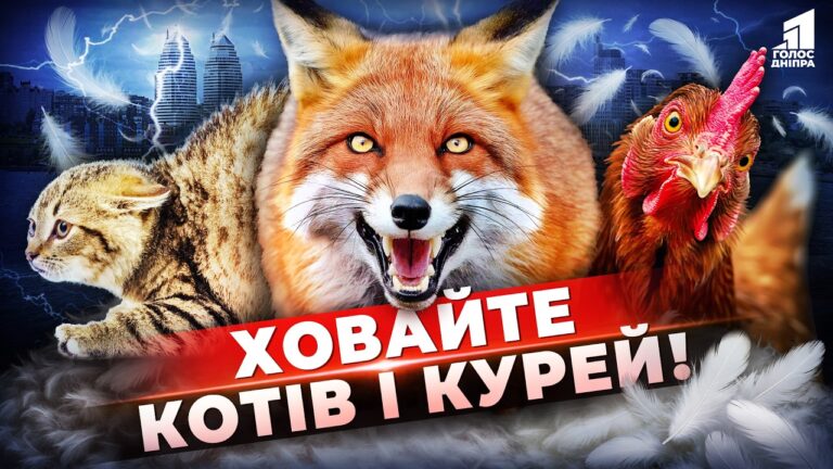 Video thumbnail for youtube video c0lfq5vw9gc