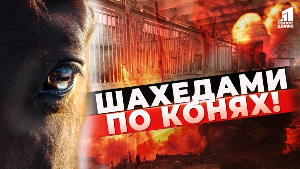 Video thumbnail for youtube video o8vqzboyygi