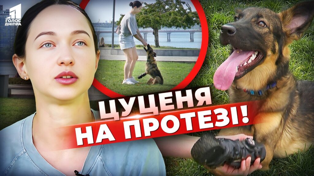 Video thumbnail for youtube video pjjpkxkqmru