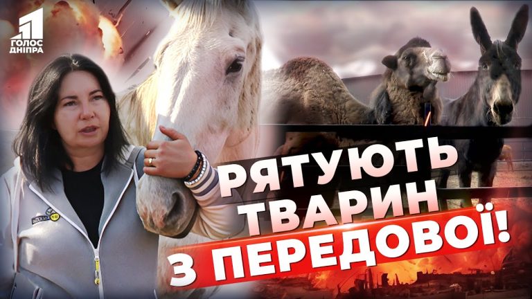 Video thumbnail for youtube video 4br-xk7gi4i