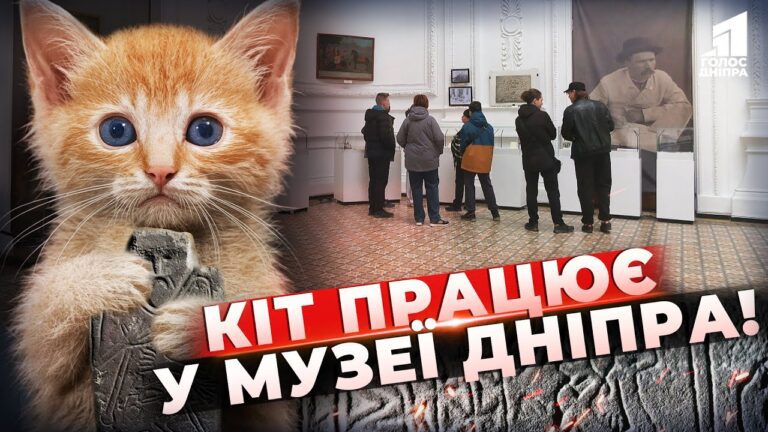 Video thumbnail for youtube video vlcqxgsb29g