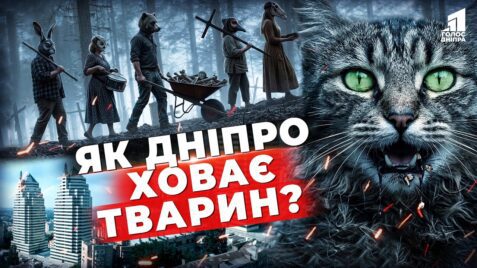 Mogyly Tvaryn Prosto Pid Nogamy Chym Cze Nebezpechno