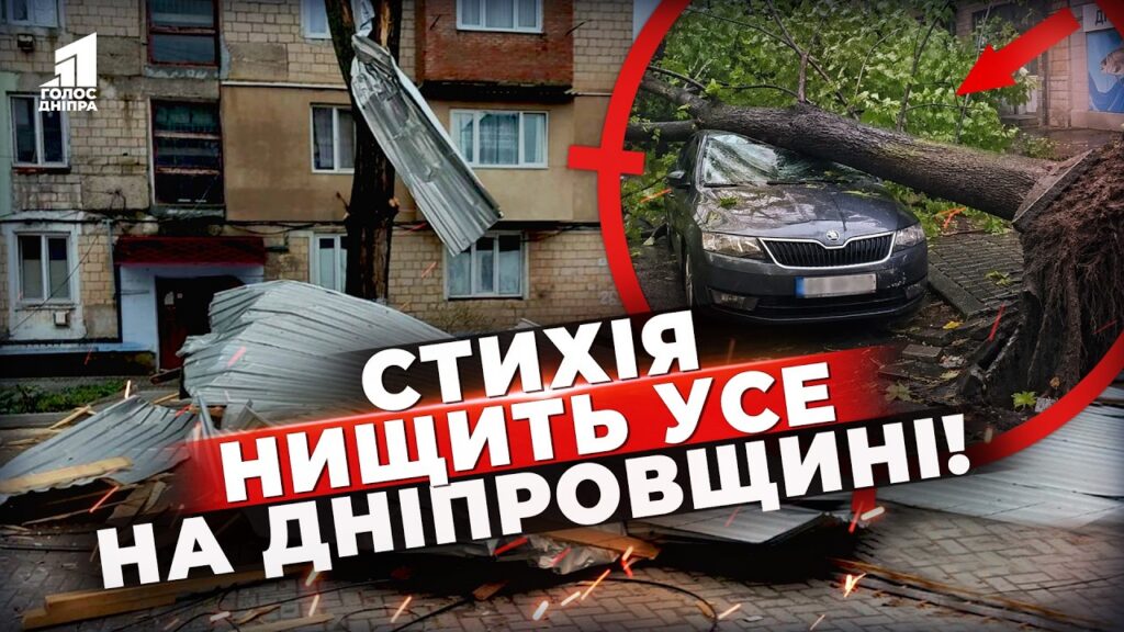 Bytva Zi Styhiyeyu Povaleni Dereva Zirvani Dahy Ta Zagybli Shho Nakoyiv Burevij V Ukrayini