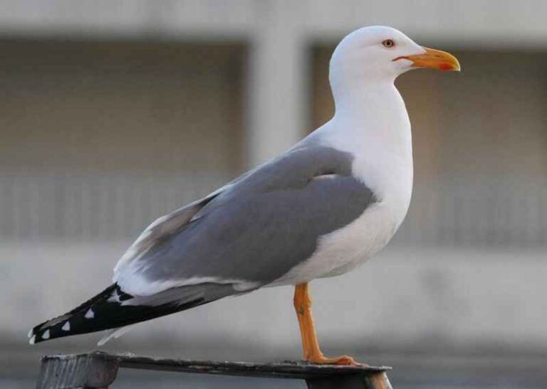 25357
