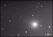 4732