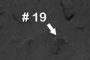 7134