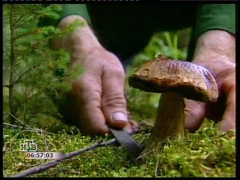 835